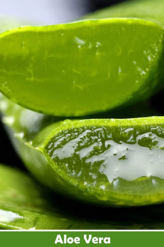 Aloe Vera Juice Recipe, Properties and More