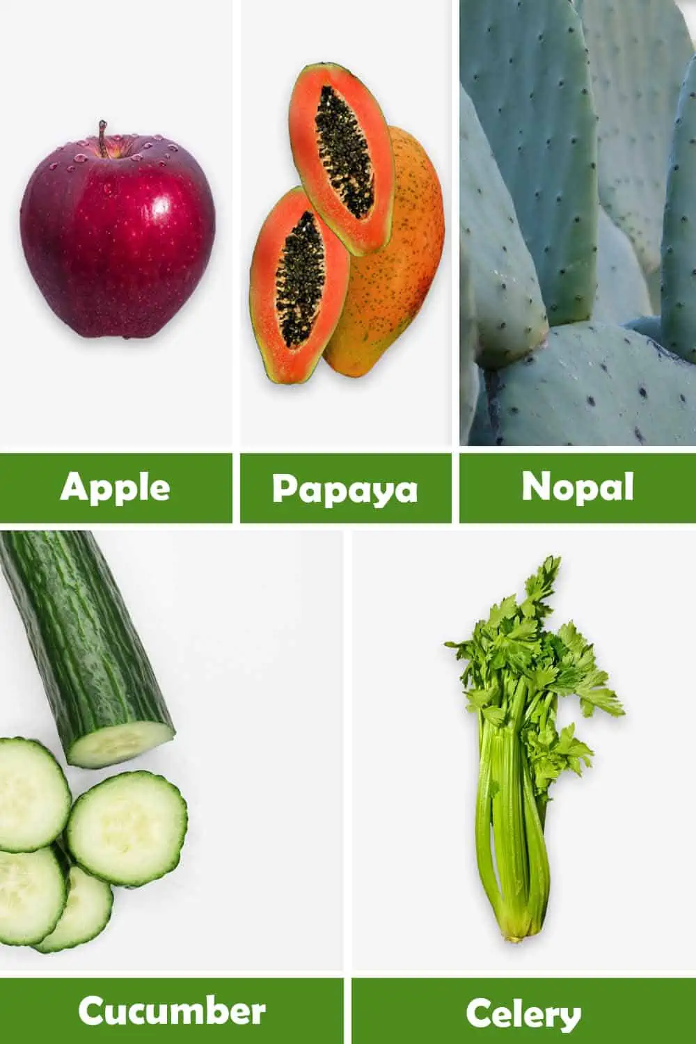 APPLE, PAPAYA, NOPAL, CUCUMBER AND CELERY