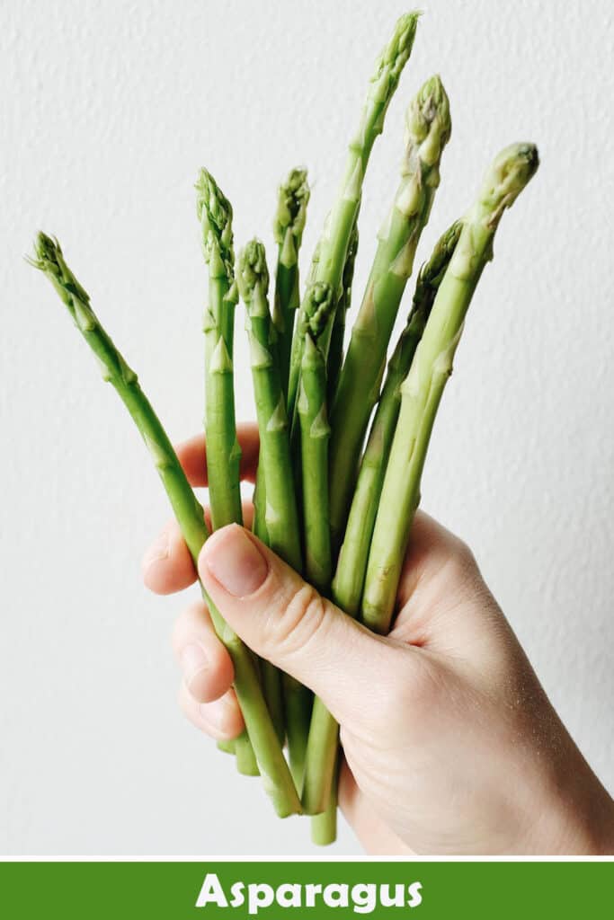Asparagus Juice 3Step Recipe and Benefits