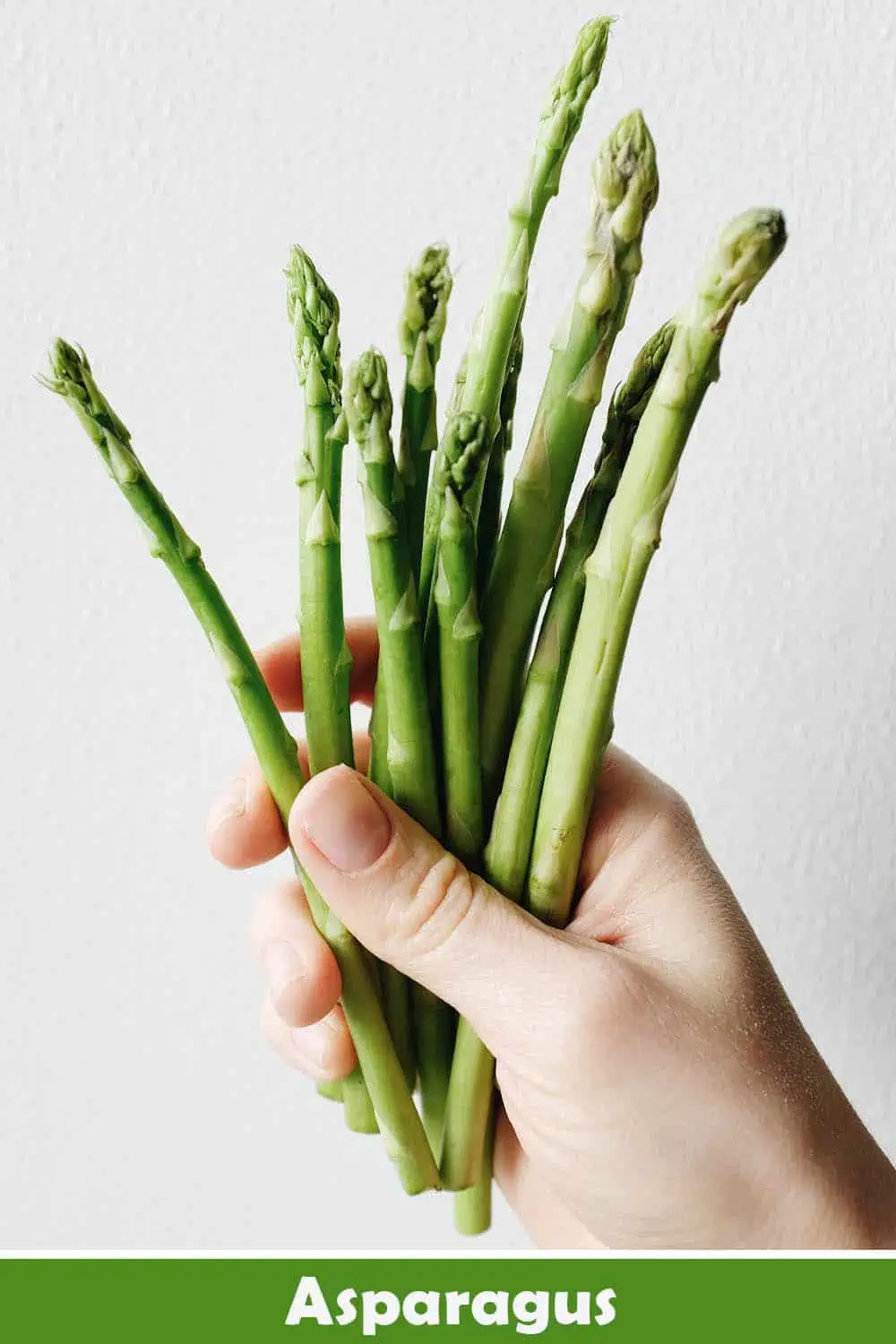 ASPARAGUS