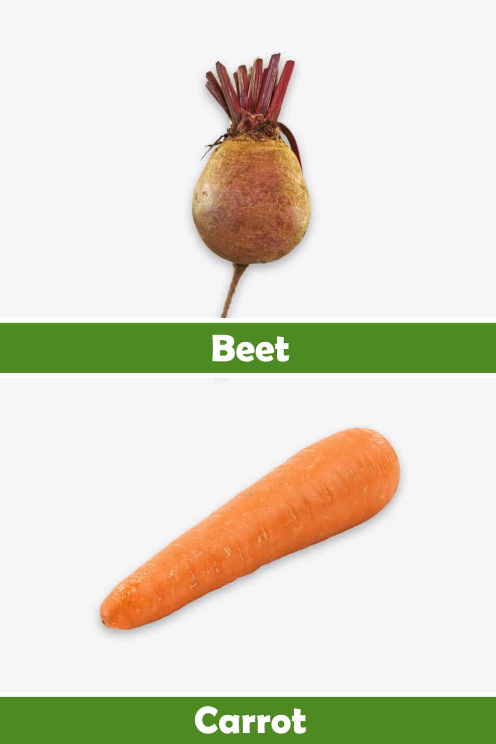 BEET AND CARROT