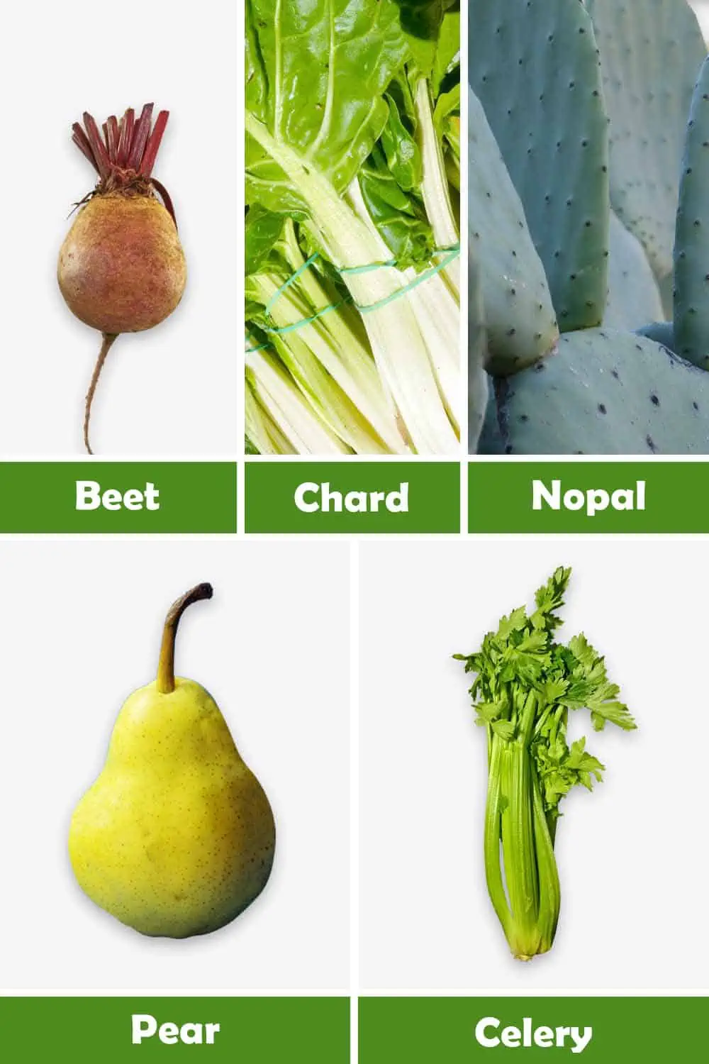 BEET, CHARD, NOPAL, PEAR AND CELERY