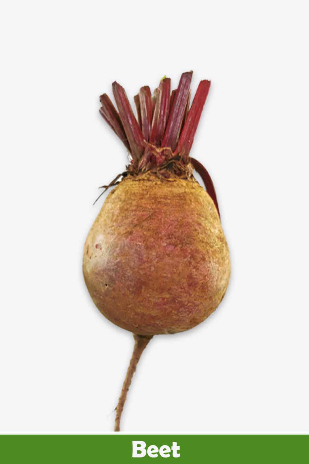 BEET