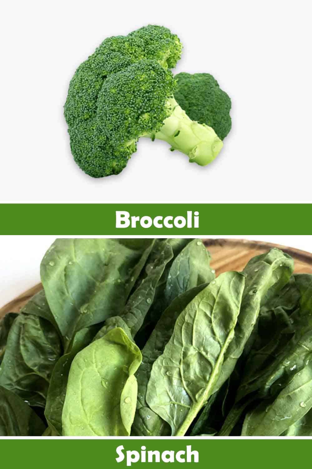 BROCCOLI AND SPINACH