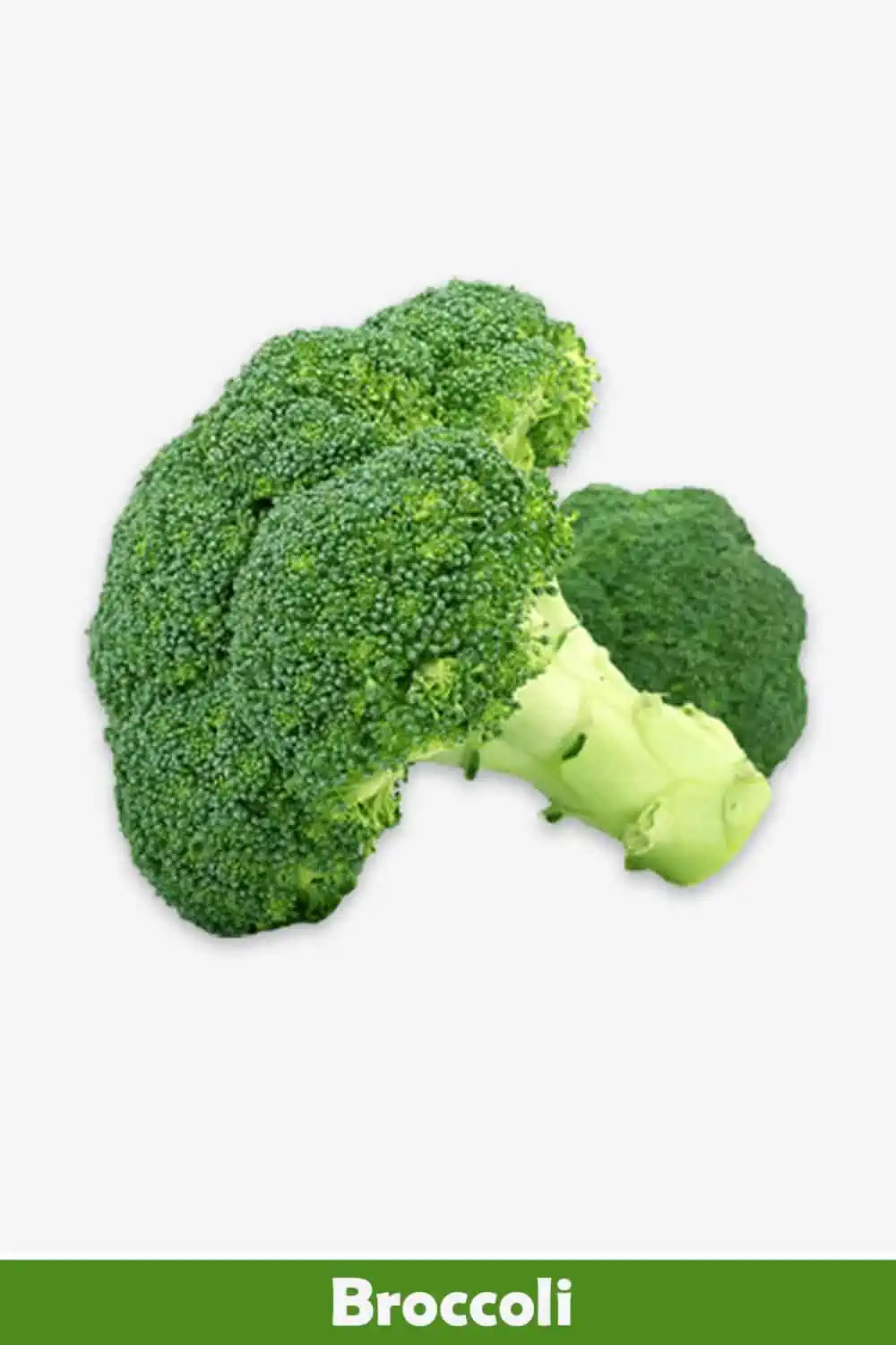 BROCCOLI