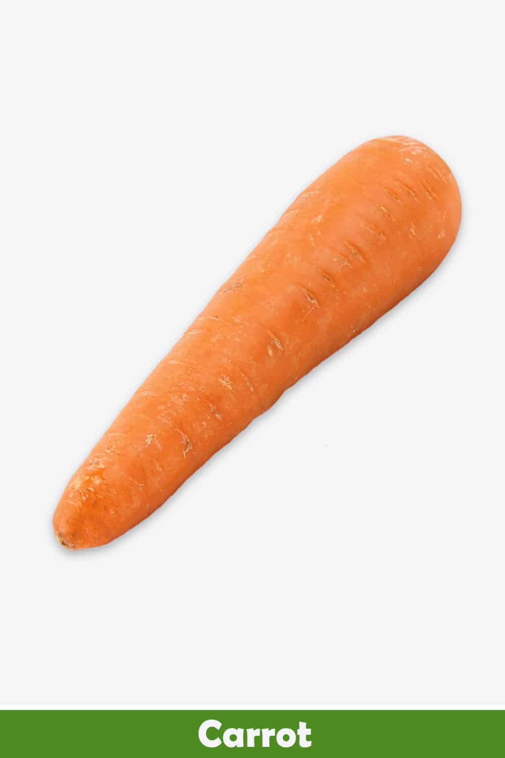 CARROT