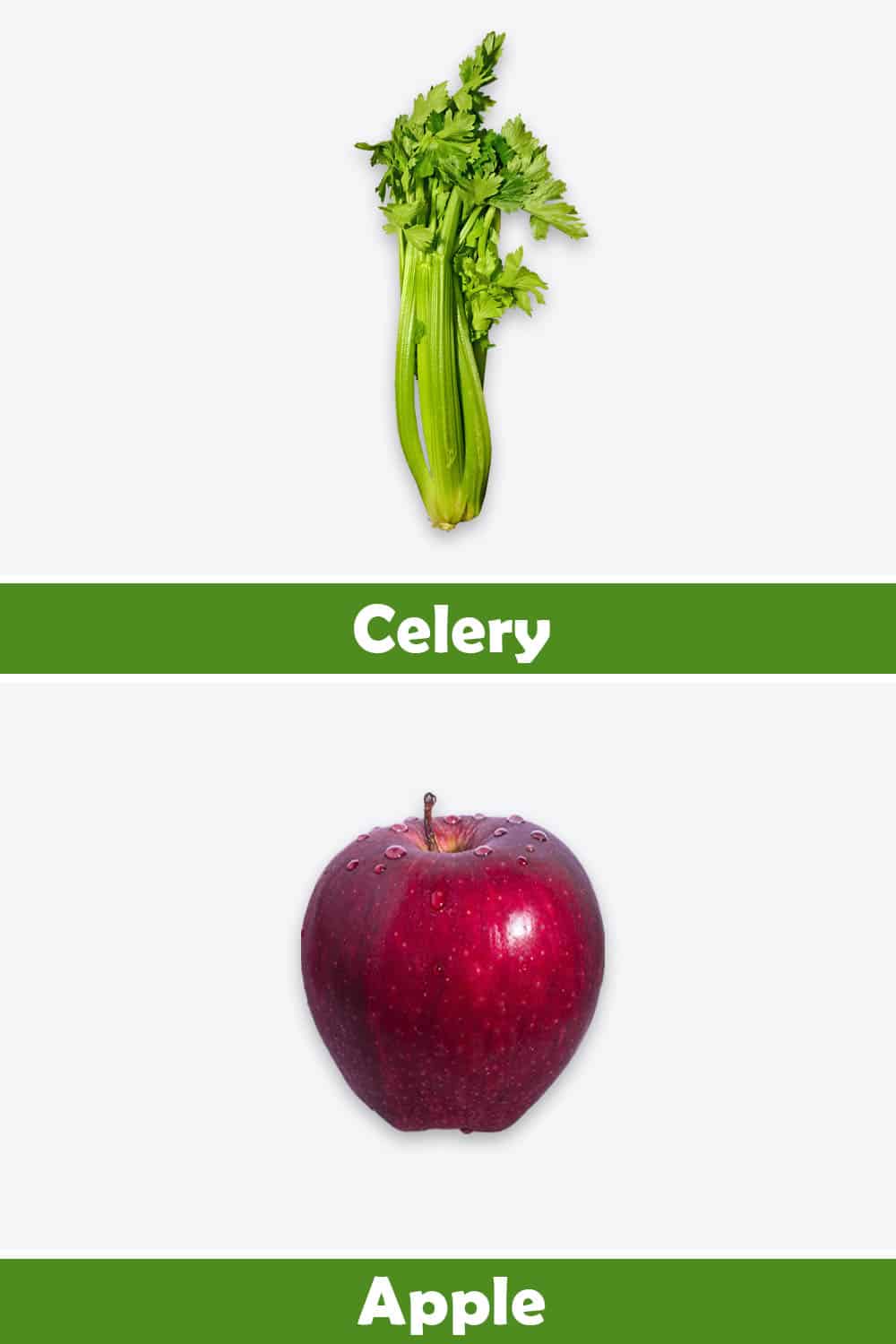 CELERY AND APPLE