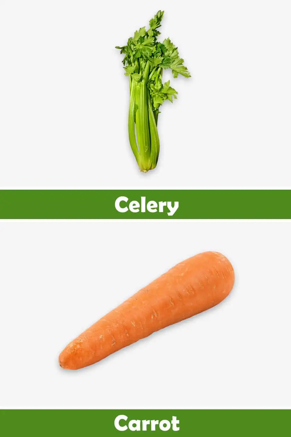 CELERY AND CARROT