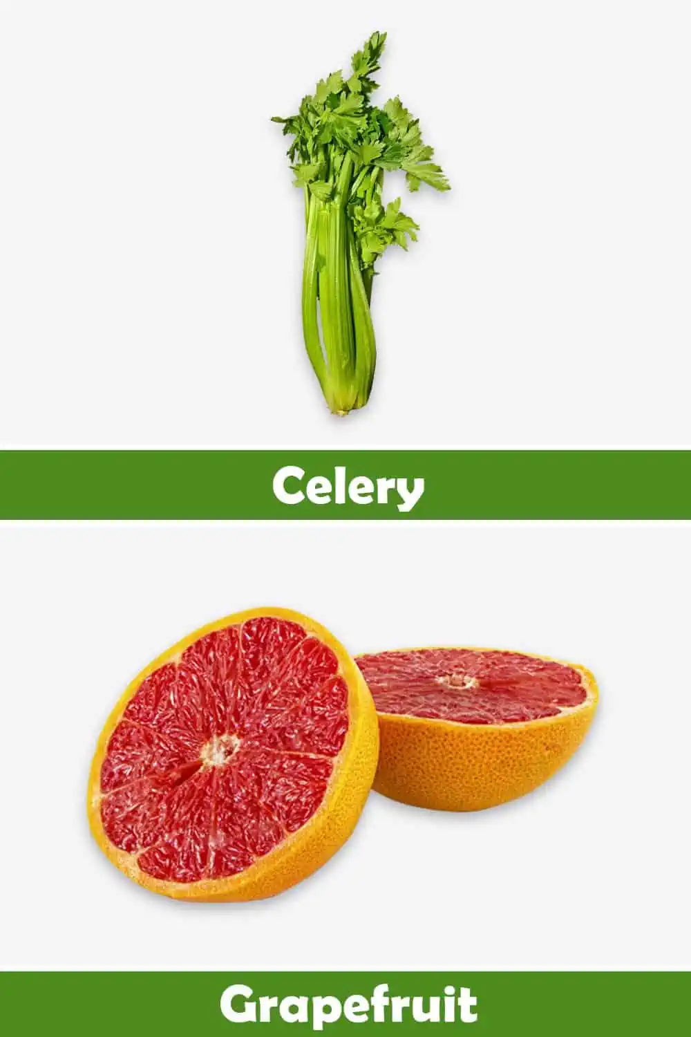CELERY AND GRAPEFRUIT
