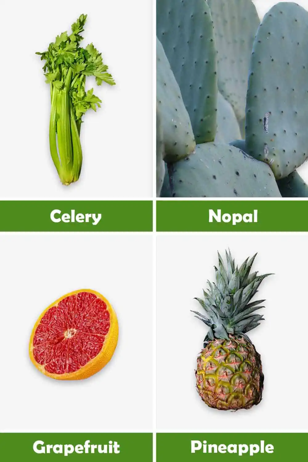 CELERY, NOPAL, GRAPEFRUIT AND PINEAPPLE