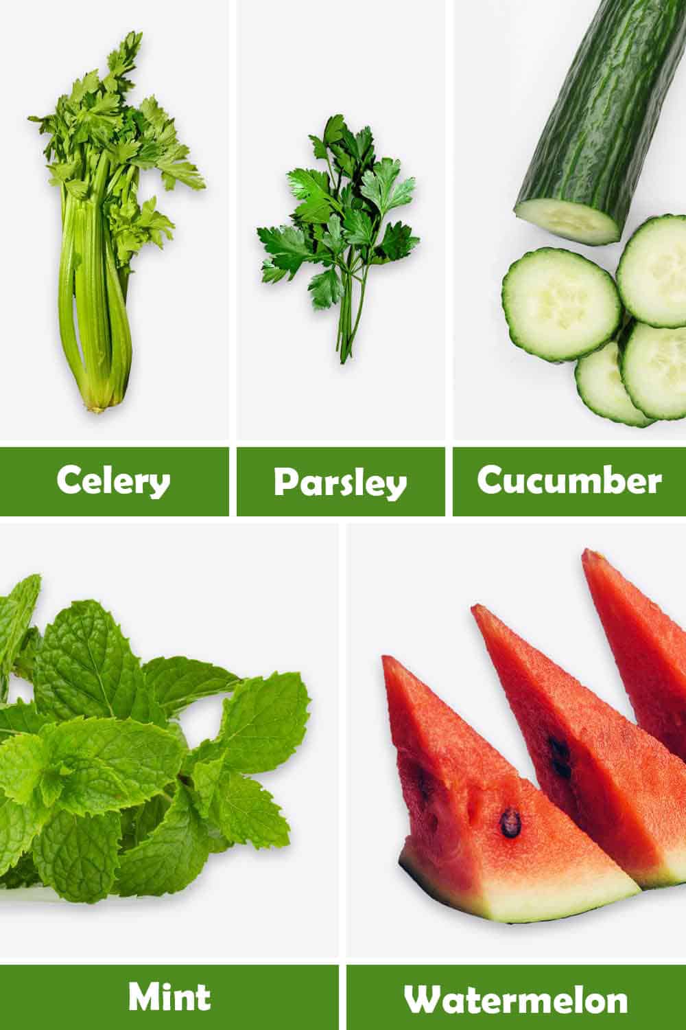 CELERY, PARSLEY, CUCUMBER, MINT AND WATERMELON
