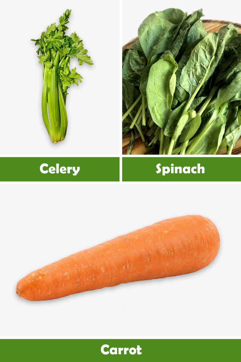 CELERY, SPINACH AND CARROT