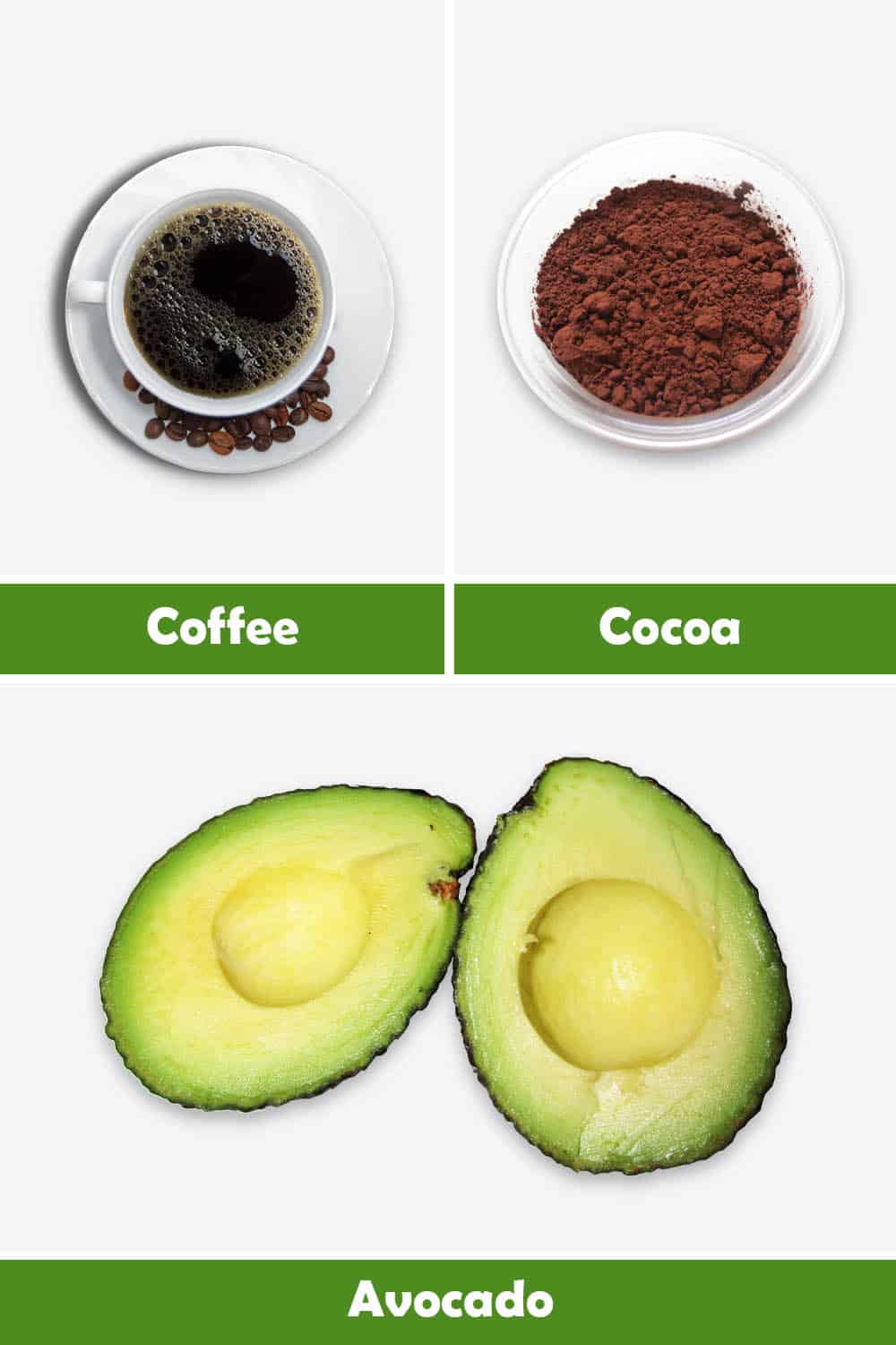 COFFEE, COCOA AND AVOCADO