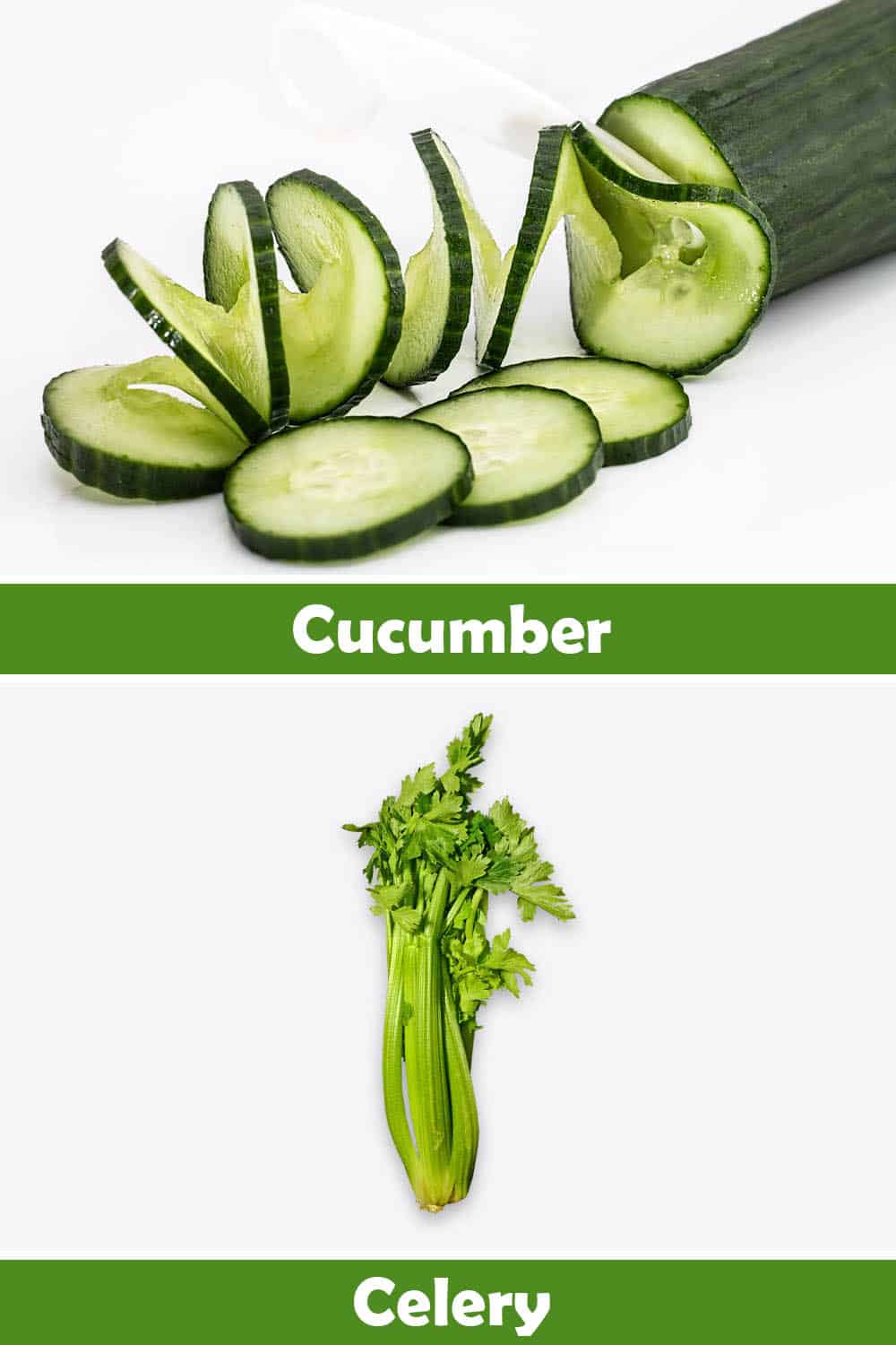 CUCUMBER AND CELERY
