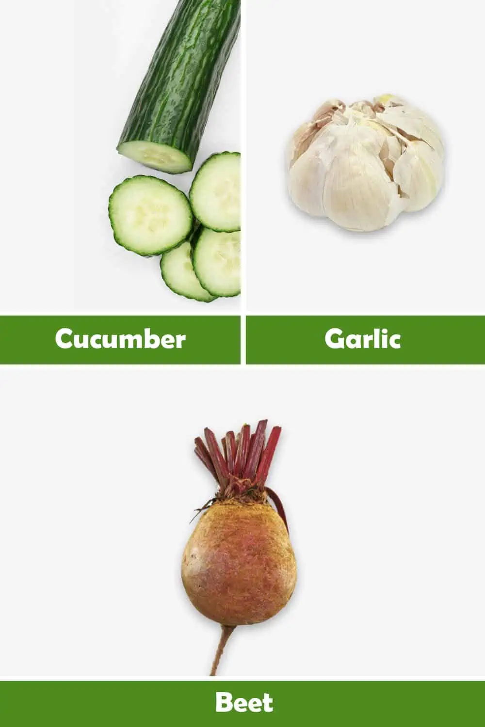 CUCUMBER, GARLIC AND BEET