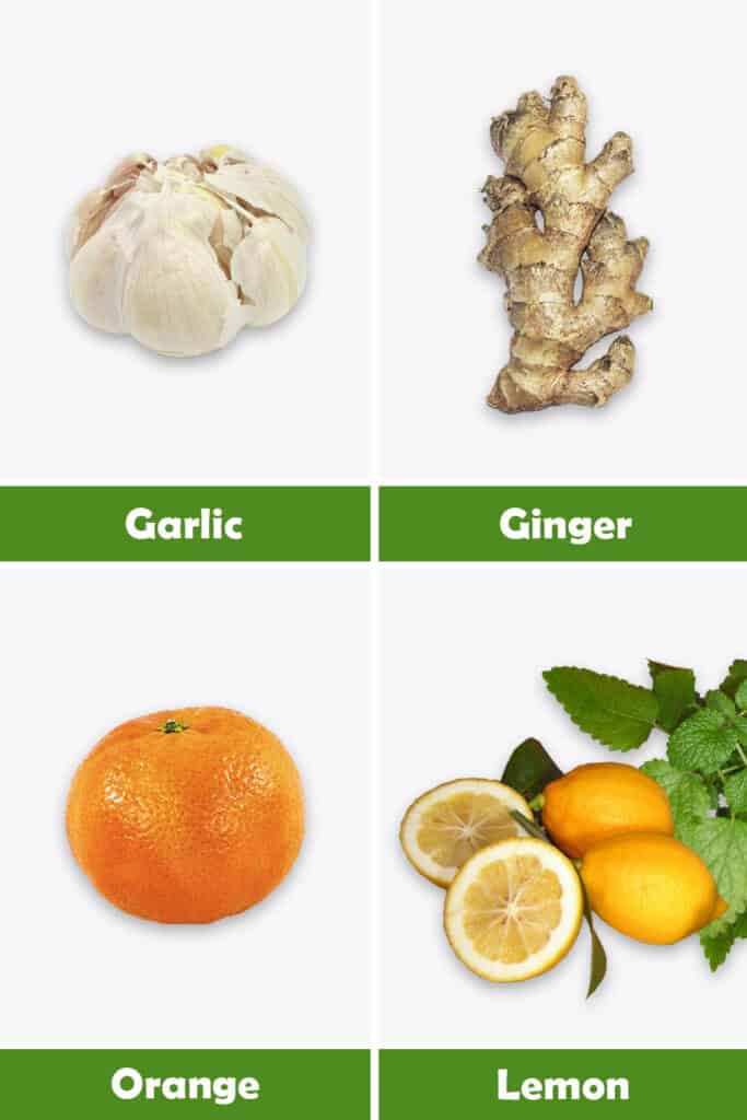 Garlic, Ginger, Lemon and Orange Juice