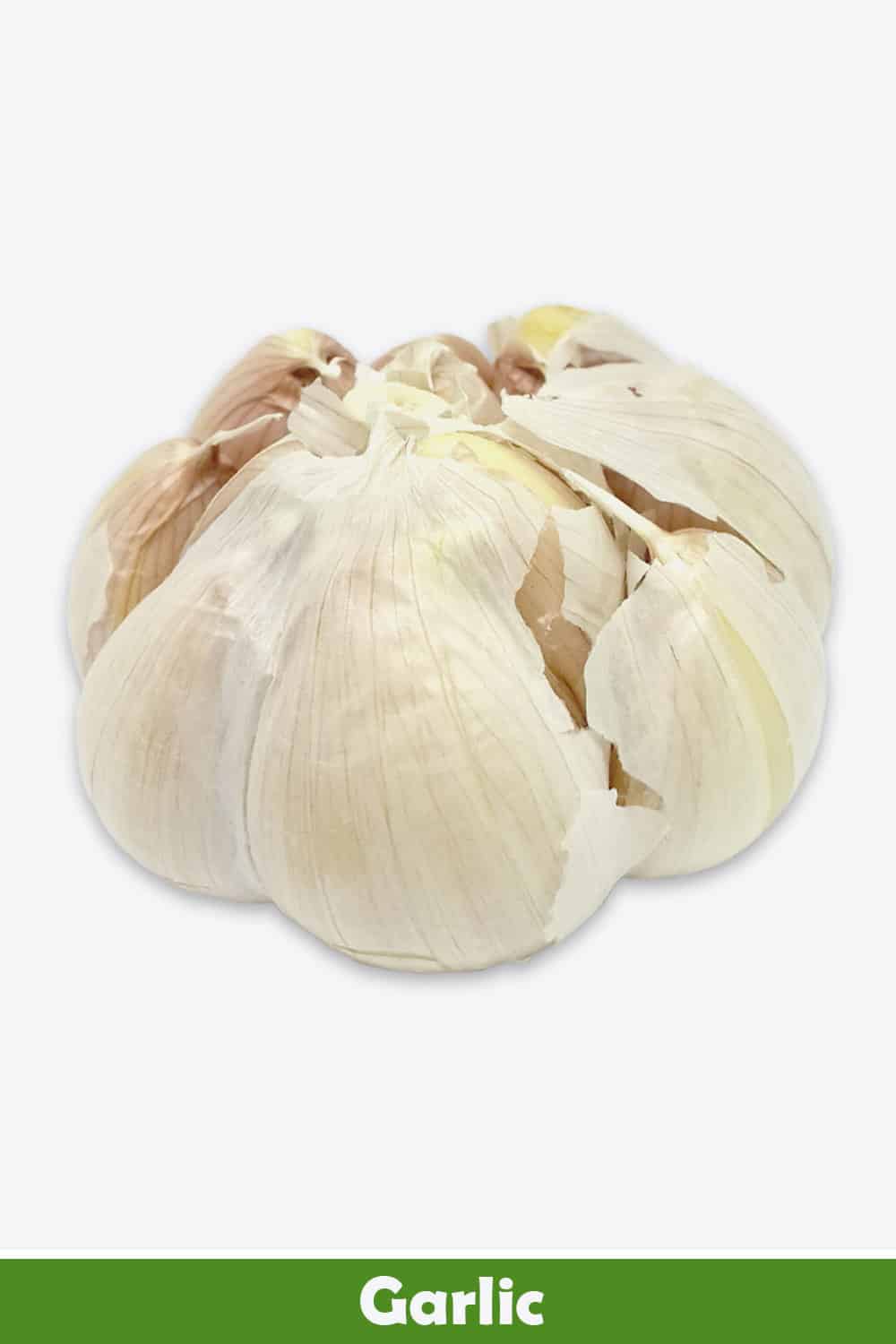 GARLIC