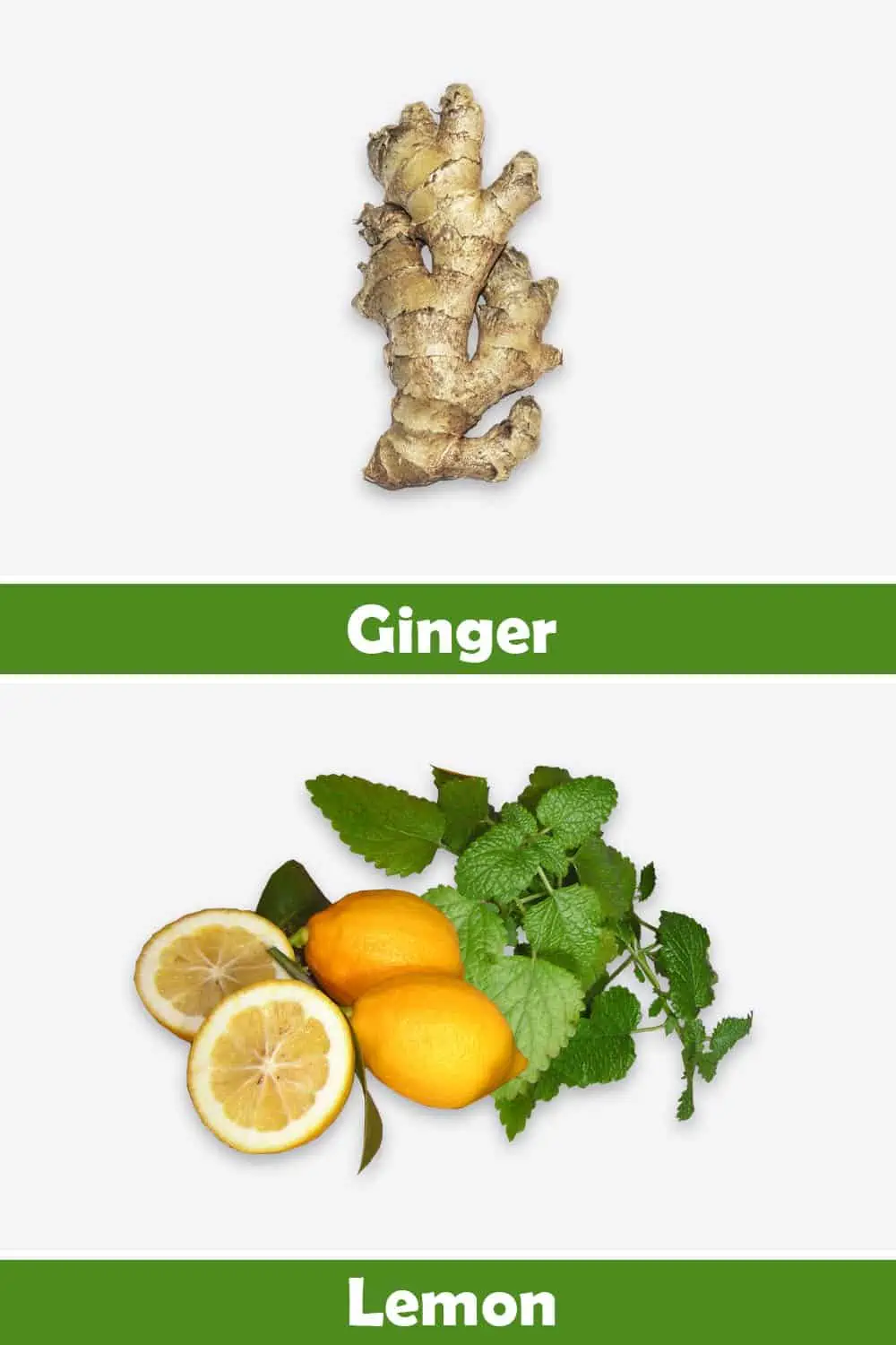 GINGER AND LEMON