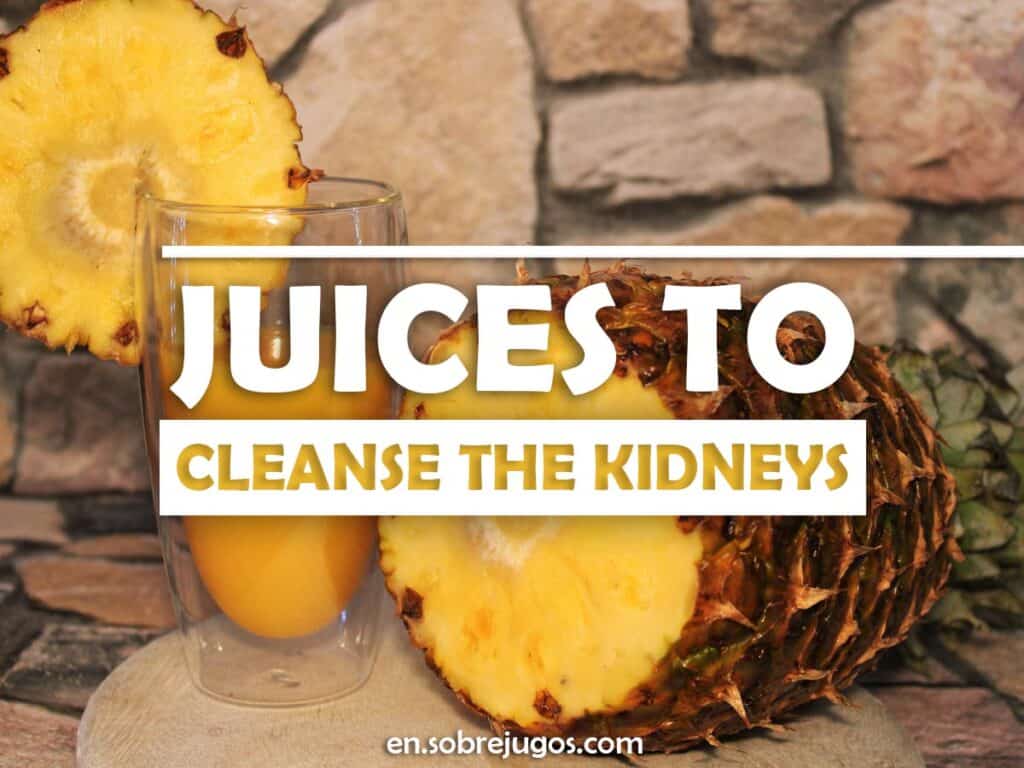 JUICES TO CLEANSE THE KIDNEYS