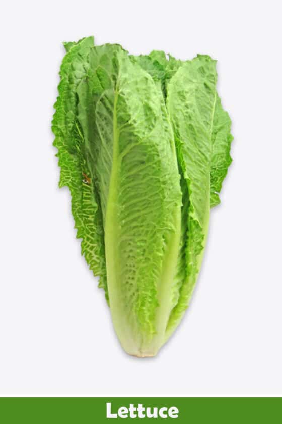 Lettuce Juice Recipe, Benefits and More