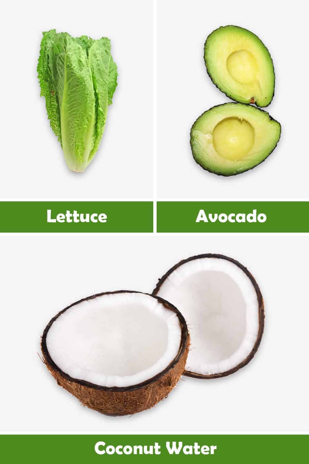 LETTUCE, AVOCADO AND COCONUT WATER