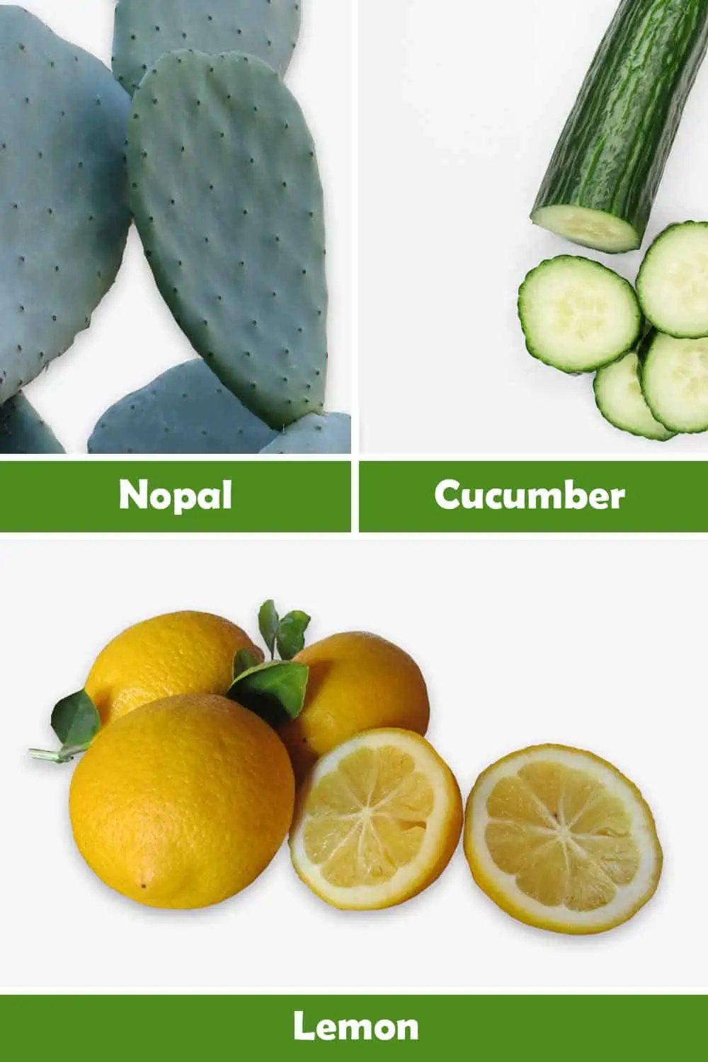 NOPAL, CUCUMBER AND LEMON