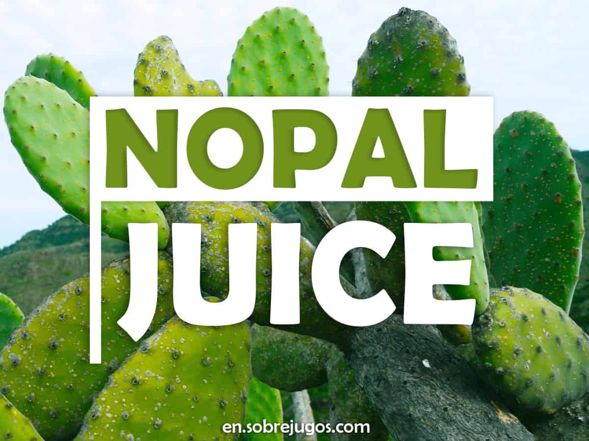 Nopal Juice 3Step Recipe, Benefits and More