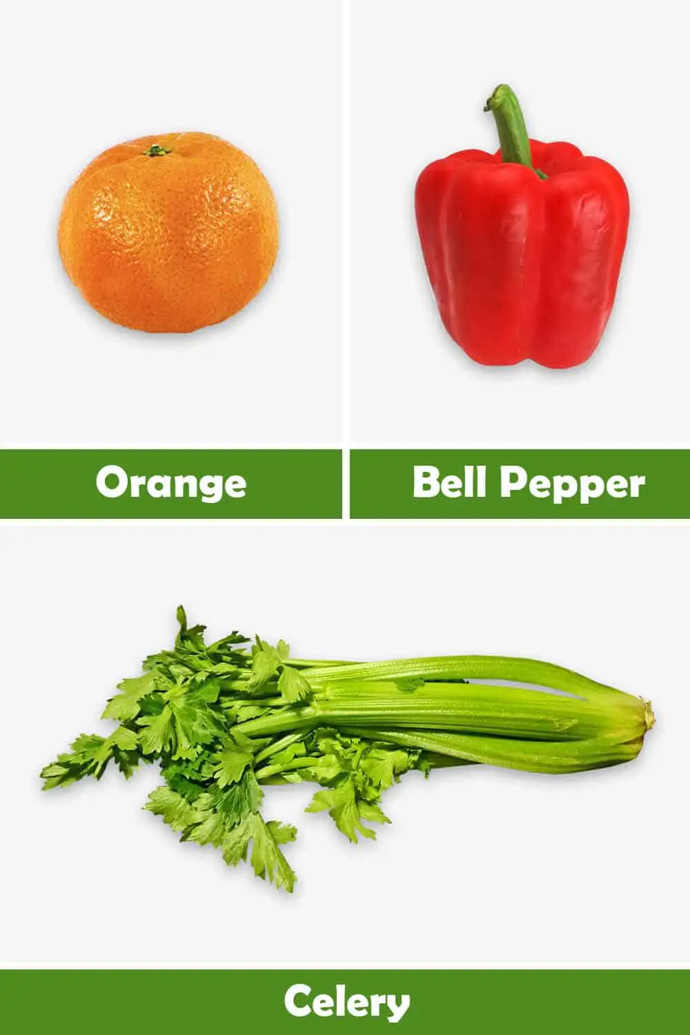 ORANGE, BELL PEPPER AND CELERY