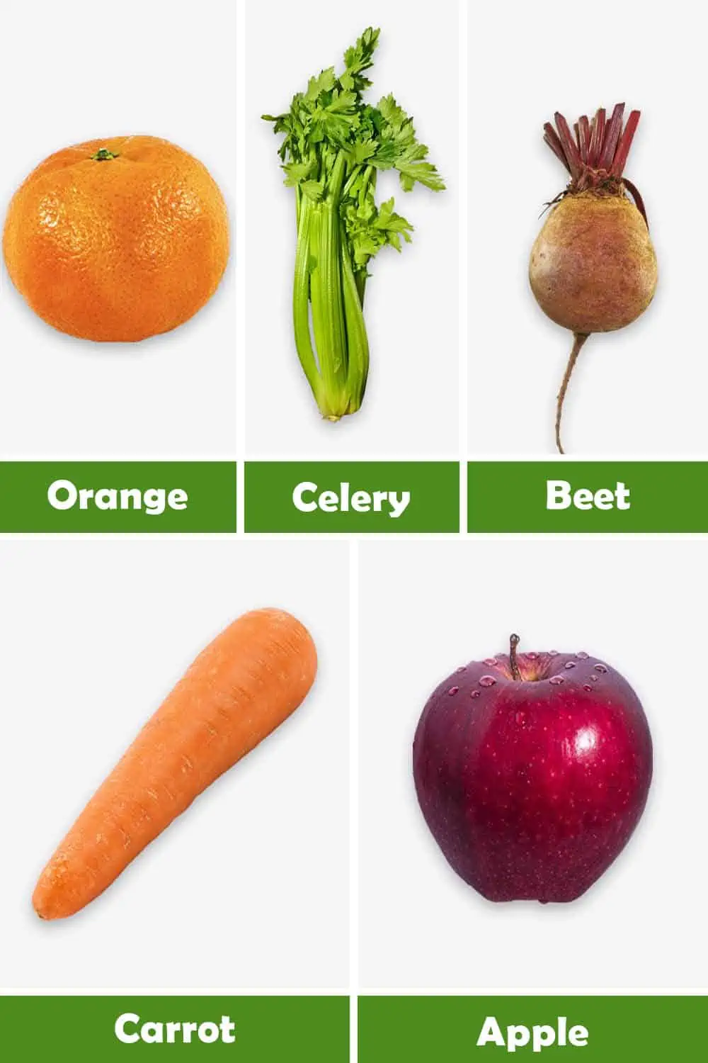 ORANGE, CELERY, BEET, CARROT AND APPLE