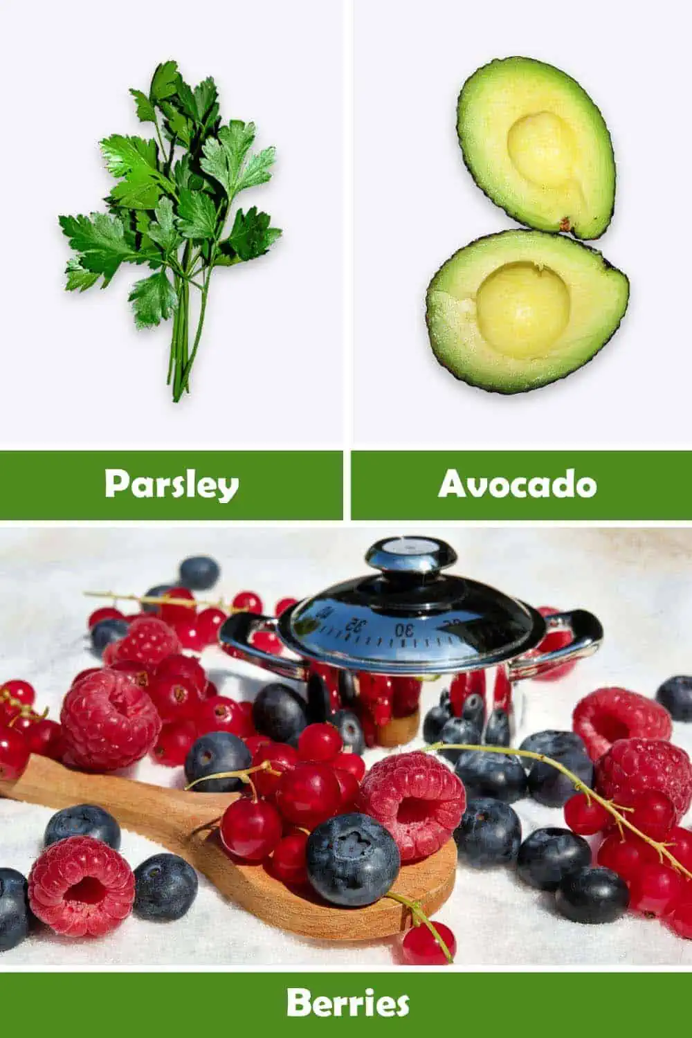 PARSLEY, AVOCADO AND BERRIES