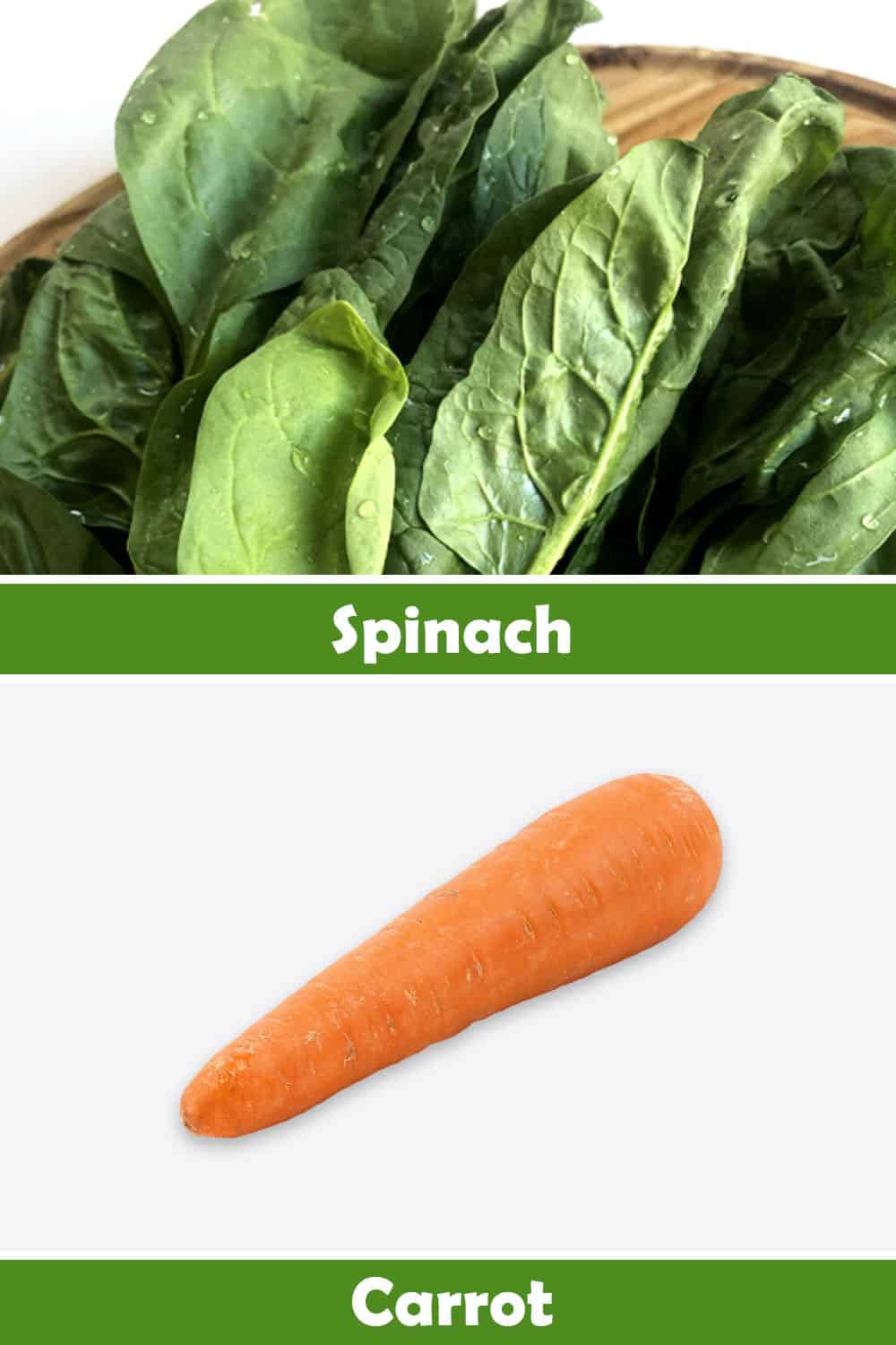 SPINACH AND CARROT