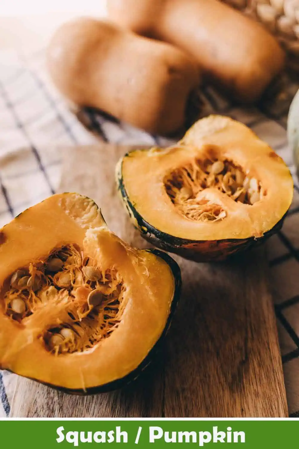 SQUASH - PUMPKIN