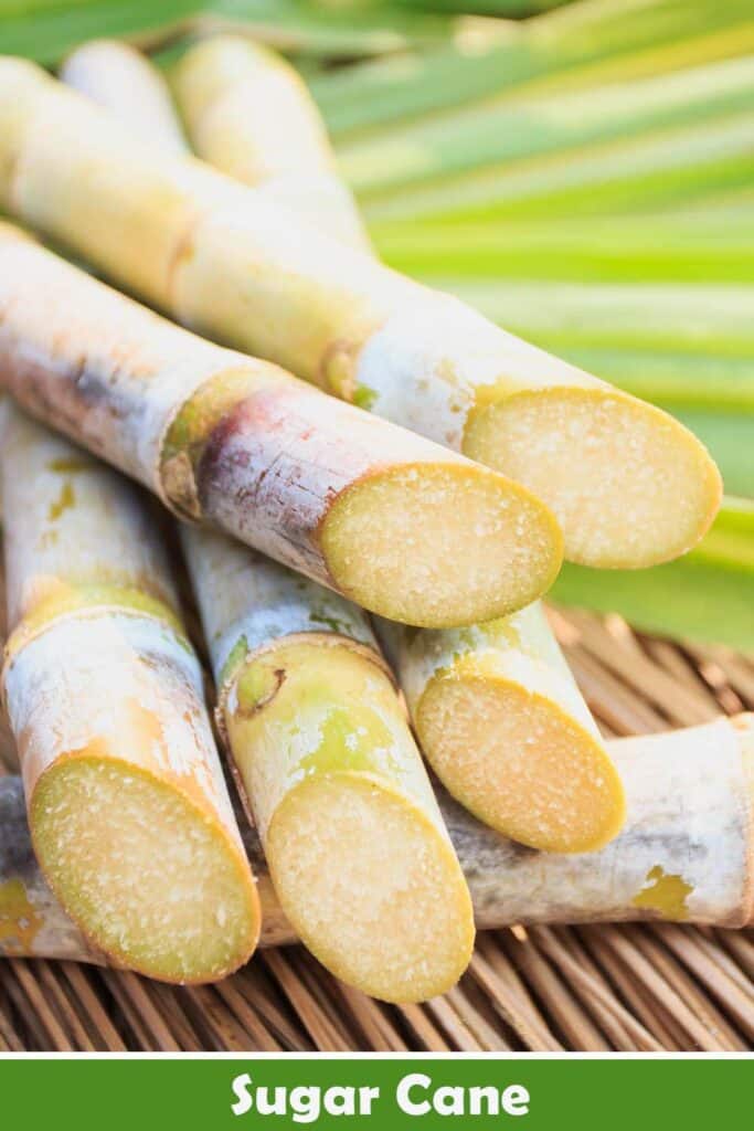 Sugarcane Juice Homemade Recipe, Benefits and More